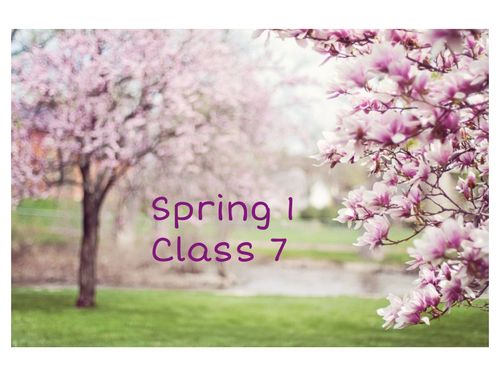 Class 7 Spring 1