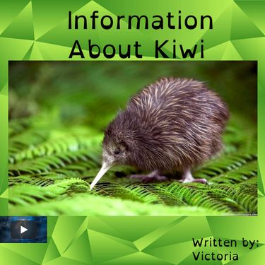 Kiwi