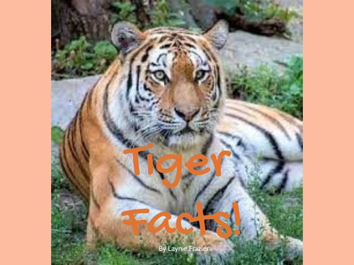 Book Creator | Tiger Facts