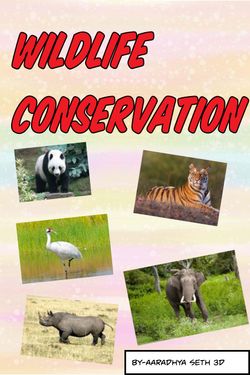 Book Creator | Saving Wildlife Pamphlet