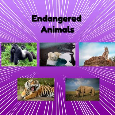 Book Creator | endangered animals