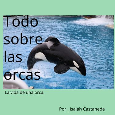 Book Creator Todo Sobre Las Orcas