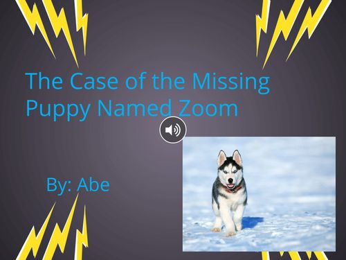 The Case of the Missing Puppy Named Zoom