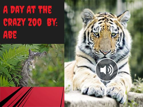 A Day at the Crazy Zoo