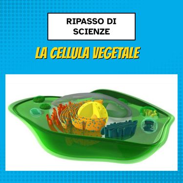 Book Creator | Ripasso di scienze