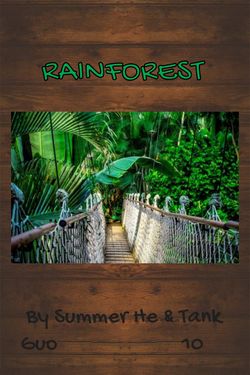 Book Creator | Rainforest