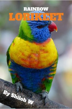 Rainbow Lorikeet