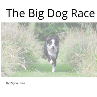 Book Creator | The Big Dog Race