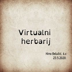 by Nina Belušić