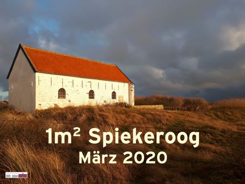 1qm Spiekeroog