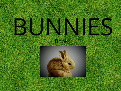 Book Creator | Bunnies