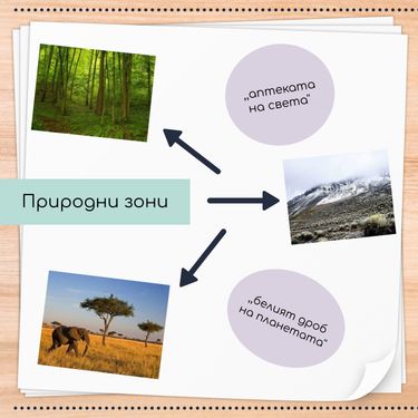 Book Creator | Природни зони