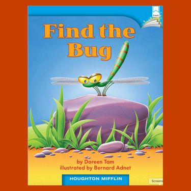 Find the Bug