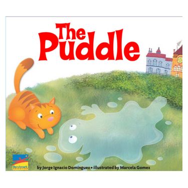 The Puddle