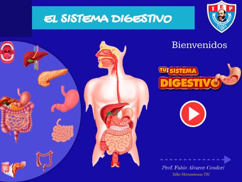 Book Creator Sistema Digestivo