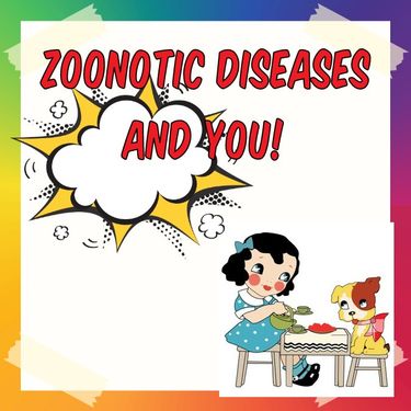 Book Creator | Zoonotic Diseases and You!