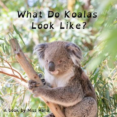 Book Creator | What Does a Koala Look Like?