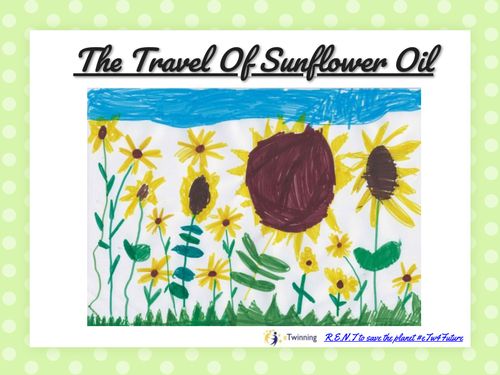 The Travel of Sunflower Oil