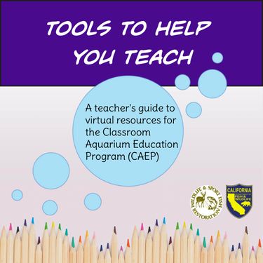 Book Creator | Tools To Help You Teach