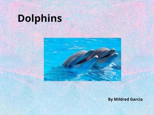 Book Creator | Dolphins