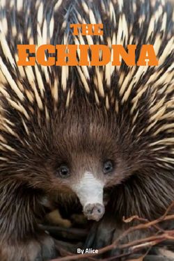 The Echidna
