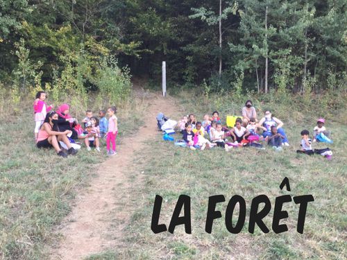 La forêt en septembre