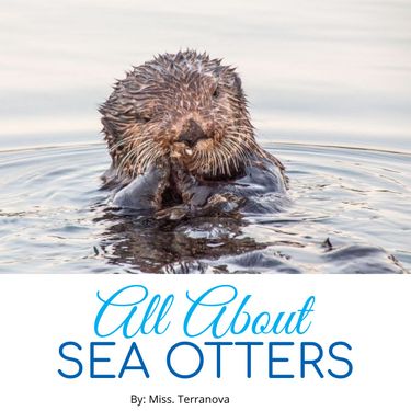 Book Creator | Sea Otters