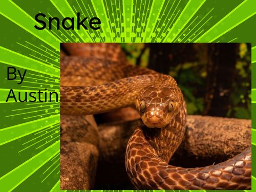 Book Creator | snakes Kung fu