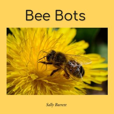 Book Creator | Bee Bots
