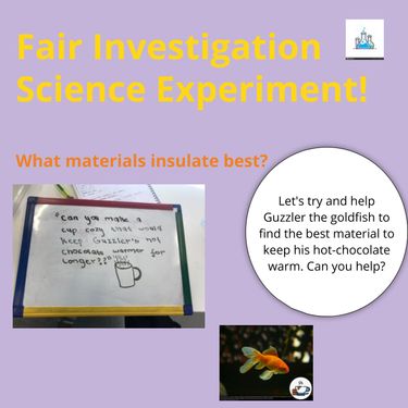 Book Creator | fair investigation test