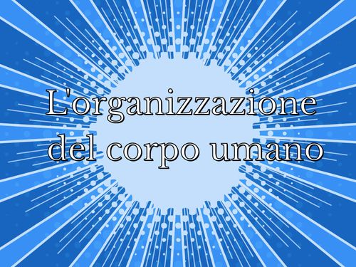 L'organizzazione del corpo umano 