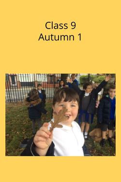 Class 9 Autumn Term 2