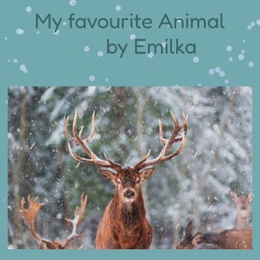 Animal book