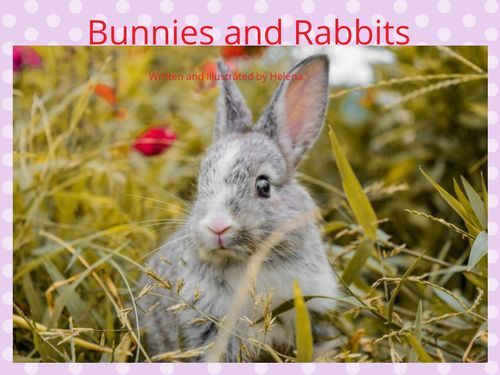 Book Creator | Bunnies and Rabbits