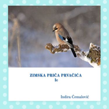 Book Creator | ZIMSKA PRIČA PRVAČIĆA Ic