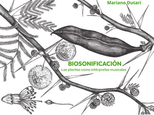  Biosonificación