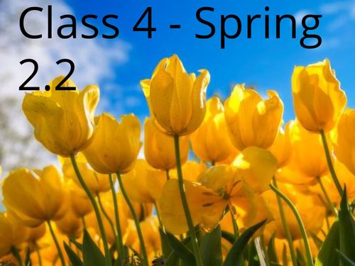 Spring 2.2 Class 4