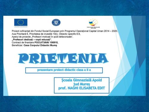 Prietenia- POCU/73/6/6/106915