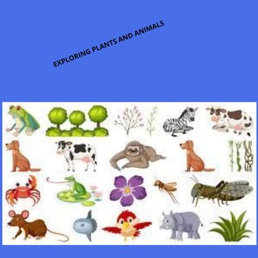 Book Creator | Plants and Animals