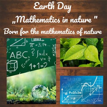 Book Creator | Matematics in nature