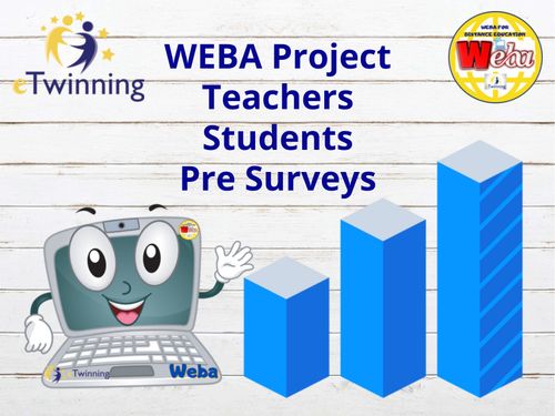 WEBA Project-Pre Survey Analiz