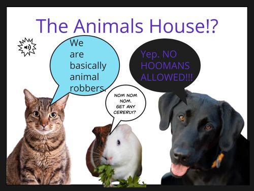 The Animals' House