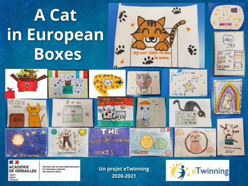A Cat in European Boxes