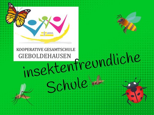 Kooperative Gesamtschule Gieboldehausen insektenfreundliche Schule