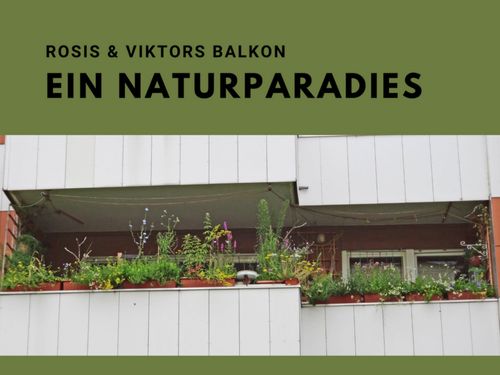 Rosis und Viktors Balkon – Ein Naturparadies