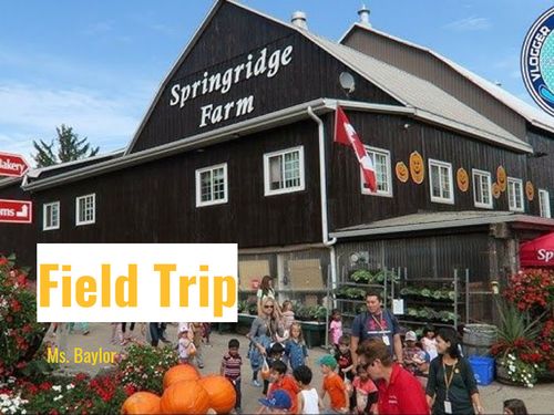 Book Creator | Springridge Farm