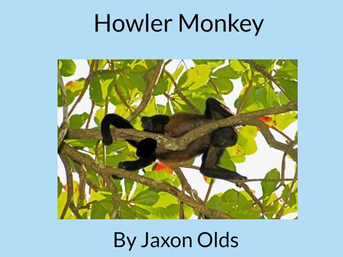 Book Creator | Howler Monkey