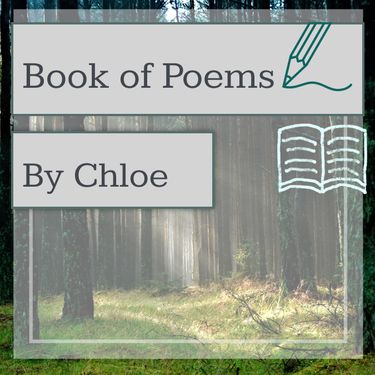 Book of Poems