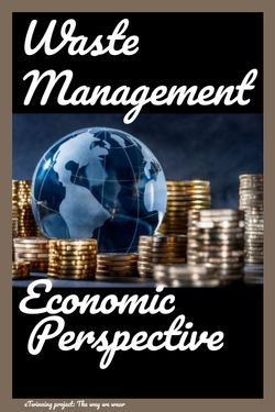 Waste Management - Economic perspective