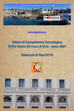  Elaborati PCTO Classe 3E Liceo D'Oria 2021